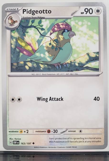 Pidgeotto (163/197) - SV: Obsidian Flames (Single Card)