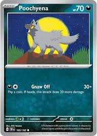 Poochyena (105/162) - SV: Temporal Forces (Single Card)